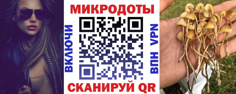 Галлюциногенные грибы MAGIC MUSHROOMS  Тихорецк 